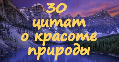 30 цитат о красоте природы